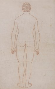 Menschlicher Körper, Rückansicht (Umrisszeichnung für Tafel VII) von George Stubbs