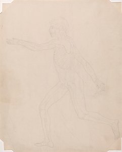 Menschliche Figur, Seitenansicht von George Stubbs