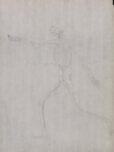 Menschliche Figur, Seitenansicht von George Stubbs