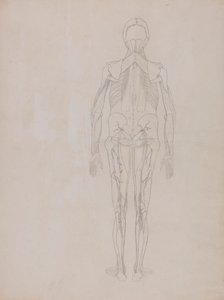 Menschliche Figur, Rückansicht (Umrisszeichnung für die Schlüsselfigur einer unveröffentlichten Platte)