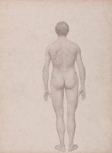 Menschliche Figur, Rückansicht, unseziert (Fertige Studie für Tabelle VII) von George Stubbs