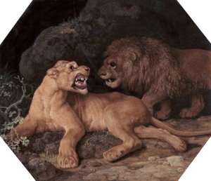 Löwe und Löwin