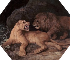 Löwe und Löwin, 1770