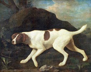 Phillis, ein Pointer von Lord Clermont von George Stubbs