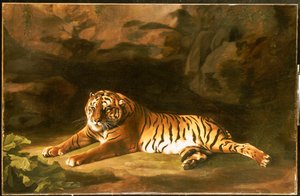 Porträt des Königstigers, ca. 1770