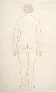 Studie der menschlichen Figur, Rückansicht, aus Ein vergleichendes anatomisches Exposé der Struktur des menschlichen Körpers mit dem eines Tigers und eines gewöhnlichen Huhns von George Stubbs