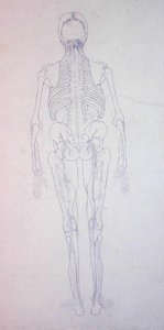 Studie der menschlichen Figur, Rückansicht, aus Ein vergleichendes anatomisches Exposé der Struktur des menschlichen Körpers mit dem eines Tigers und eines gewöhnlichen Huhns von George Stubbs