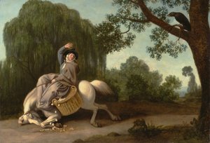 Die Frau des Bauern und der Rabe