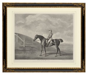 Kürbis von George Townley Stubbs