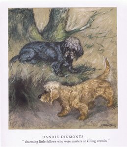 Dandie Dinmonts