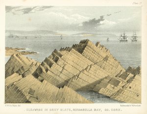 Spaltung im Grauschiefer, Ringabella Bay, Co Cork von George Victor Du Noyer