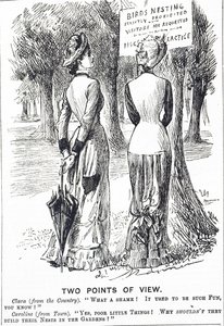 Karikatur, die das Schutzgesetz für Vögel von 1880 kommentiert von George du Maurier