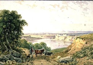 Landschaft mit Rindern
