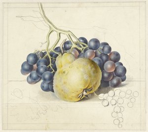 Stillleben mit Trauben und einer Birne von Georgius Jacobus Johannes van Os