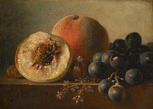 Früchte von Georgius Jacobus Johannes van Os