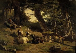 Schweizer Landschaft von Gerard Bilders