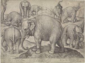 Acht Elefanten von Gerard van Groeningen