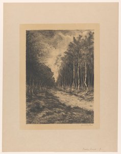 Waldweg mit zwei Reitern