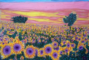Sonnenblumenfeld, 2024