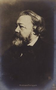 Ferdinand Freiligrath (1810-1876), deutscher Dichter von German Photographer
