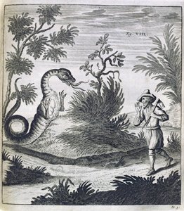 Ein furchterregender Drache, um 1660 von German School
