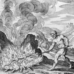 Verbrennen eines Salamanders aus Musaeum Hermeticum