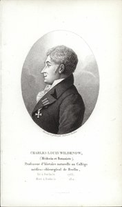 Charles Louis Wildenow von German School