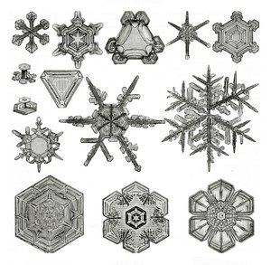 Verschiedene Formen von Schneeflocken