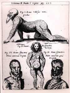Haariger Mann und Wilder Mann, Illustration aus Physica Curiosa von Gaspar Schott (1608-66)