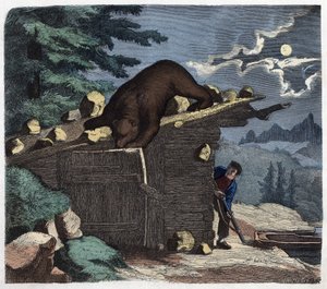 Jäger, die den Bären aus dem Alpenwald töten wollen. In „Wenn Jemand eine Reise tut, so kann er was erzählen“, deutsche Erzählung von Franz Wiedemann.