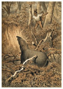 Illustration, Indianer jagen Tapir im Amazonaswald. In "De Bootslieden der Amazon-River", Karl Muller, Niederlande von German School