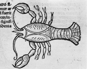 Der Krebs - in Abhandlung von Johannes Angeli De Magnisconnectionibue annorum revolutionibus ac eorum perfectionibus. Augsburg, Erhard Ratdolt