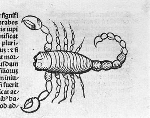 Le Scorpio - in Abhandlung von Johannes Angeli De Magnisconnectionibue annorum revolutionibus ac eorum pefectionibus. Augsburg, Erhard Ratdolt von German School