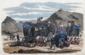 Verladung von Elefanten für Herrn Bocks Reise nach Dresden. In „Wenn Jemand eine Reise tut, so kann er was erzählen“, deutsche Erzählung von Franz Wiedemann. von German School