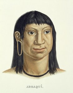Einheimischer Mann des Aroaqui-Stammes, aus Atlas einer Reise in Brasilien von Johann Baptist von Spix (1781-1826) und Karl Friedrich Philipp Martius (1794-1868), veröffentlicht ca. 1835-50 von German School