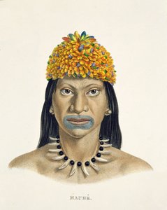 Einheimischer Mann des Mauhe-Stammes mit Kopfschmuck aus kleinen blauen und orangefarbenen Federn, aus Atlas einer Reise in Brasilien von Johann Baptist von Spix (1781-1826) und Karl Friedrich Philipp Martius (1794-1868) von German School