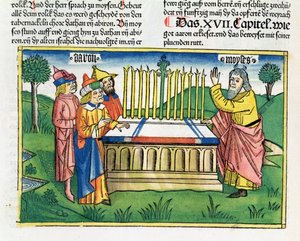Numeri 17:1-11 Aarons Stab blüht auf dem Altar, aus der Nürnberger Bibel (Biblia Sacra Germanaica)