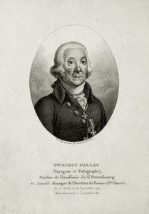 Peter Simon Pallas. (1741 – 1811) von German School
