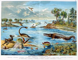 Urgeschichte - Jura - Rekonstruktion der natürlichen Umgebung in Europa und einiger Tiere dieser Zeit, 1886 von German School