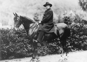Prinz Bismarck in Friedrichsruh, 1890