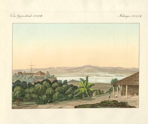 Pulu Penang von German School