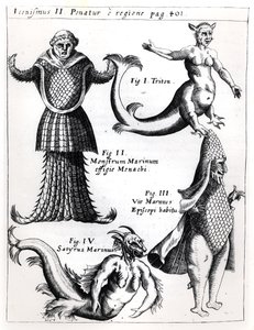 Seemonster, Illustration aus Physica Curiosa von Gaspar Schott S.J. (1608-66), veröffentlicht Würzburg 1662 von German School