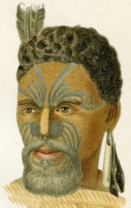 Tätowiertes Gesicht eines Maori-Häuptlings, 1894 von German School