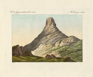 Der Skuir auf der Eierinsel