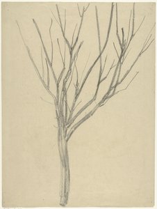 Kale Baum