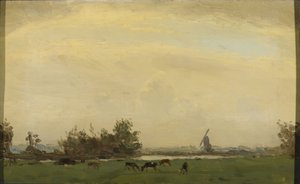 Wiesenlandschaft an der Spaarne