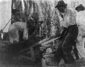 Drei Arbeiter. Fotografie zeigt drei afroamerikanische Arbeiter bei der Arbeit. (ca. 1900) von Gertrude Käsebier