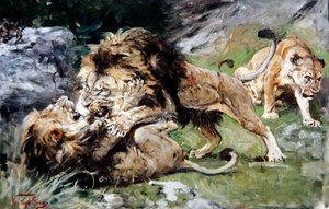 Barbary-Löwen kämpfen, ca. 1890 von Geza Vastagh