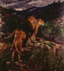 Löwen auf der Pirsch von Geza Vastagh