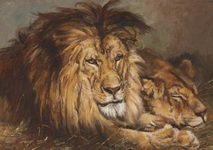 Skizze für "Löwe und Löwin ruhend", 1899 von Geza Vastagh
